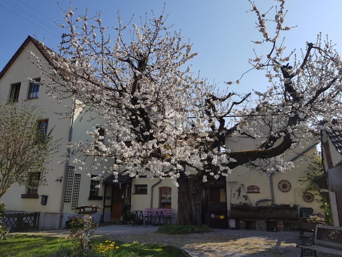 Ferienwohnung Zum-Alten-Kirschbaum Лимбург-на-Лане Екстериор снимка