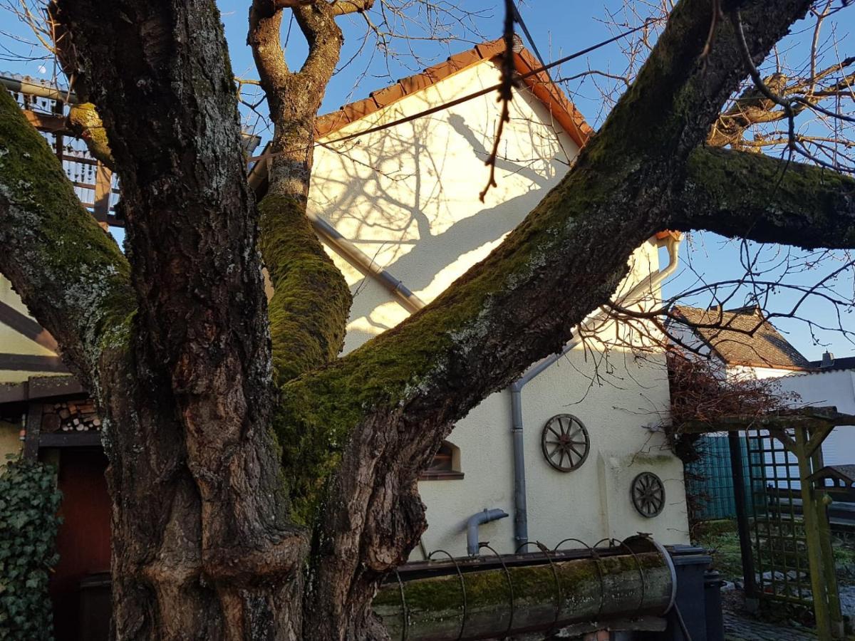 Ferienwohnung Zum-Alten-Kirschbaum Лимбург-на-Лане Екстериор снимка