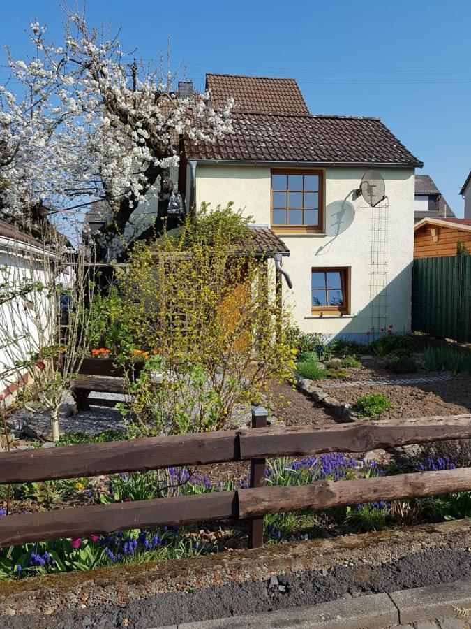Ferienwohnung Zum-Alten-Kirschbaum Лимбург-на-Лане Екстериор снимка